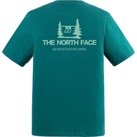 THE NORTH FACE 8GVD 纯棉透气 苔藻绿 L 短袖T恤