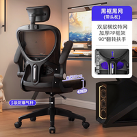 朗域轩品 LY_w257_0829 人体工学电脑椅 高级黑 尼龙脚