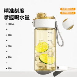 京东京造 PPSU材质 吸管杯 大容量 550ml