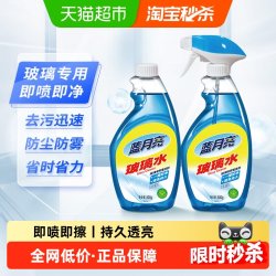 蓝月亮 玻璃水 清洁剂 500g*2