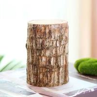 中梦 巴西木 水培绿植 不含盆