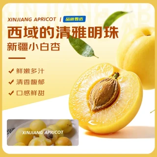 国家补贴：京鲜生 新疆小白杏 净重3斤