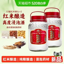 红荔牌 清雅白酒红米酒53度5L*2玻璃瓶装家用浸泡自酿药材酒粮食酒