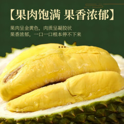 桔色世界 泰国进口金枕头榴莲  A果4-5斤