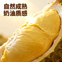 亲佳美 泰国金枕榴莲 5-6斤 新鲜水果