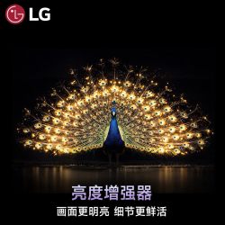 LG C6系列 OLED自发光 165Hz高刷 电视
