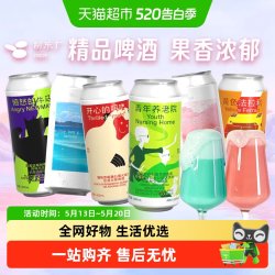 制乐厂 果泥啤酒 精酿啤酒 500ml