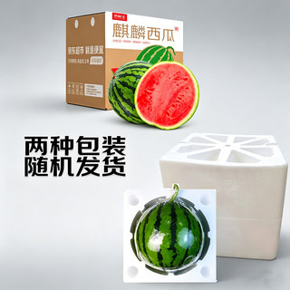 Mr.Seafood 京鲜生 无籽麒麟西瓜 净重5-7斤 1粒