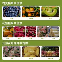布蕾克 云顶花魁挂耳咖啡 原生瑰夏SOE 10片
