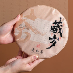 十年 陈香 白茶福鼎 茶叶送礼 300g