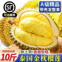 泰国金枕榴莲新鲜水果当季整箱巴掌小榴莲3-10斤一整个顺丰包邮 精选A果:5-6斤单果装【包四房肉家庭共享】买的人最多!
