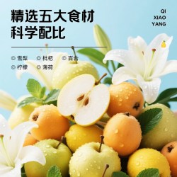 宁安堡 百合雪梨枇杷汁 果汁饮料