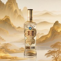  YANGHE/洋河 白酒