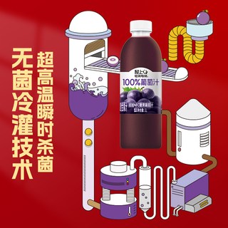 椰泰 100%葡萄汁 1L*2瓶 复合果汁饮料