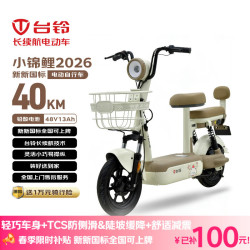 台铃 电动自行车 小锦鲤2026新国标电动车48V13AH铅酸