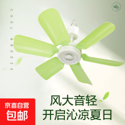 骆驼电风扇家用小吊扇小型迷你6叶制冷柔风扇宿舍学生蚊帐床上大风力 六叶吊扇(绿色) 标配 1.3米电源线