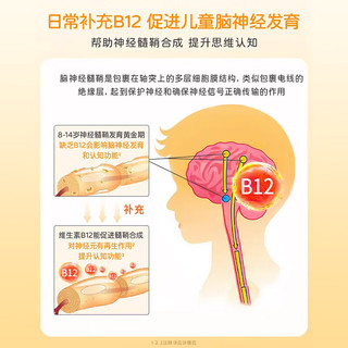 STADA史达德 维生素B12能量瓶 儿童8-14岁 2盒装