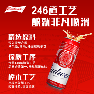 百威 组合装 啤酒套装