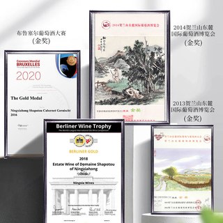 宁夏红 沙坡头2017 蛇龙珠干型 14度 750ml 红葡萄酒