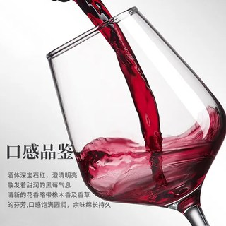宁夏红 沙坡头2017 蛇龙珠干型 14度 750ml 红葡萄酒