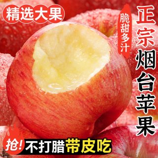 正鲜季 烟台红富士苹果 果径80-85mm 净重8.5斤
