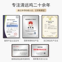  天农 皮爽肉滑 清远鸡