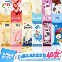 甄稀 伊利牧场+甄稀冰淇淋奶棒全家福40支 奶皮子大布丁奶提子小雪生2600g