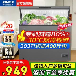 星星 BD/BC-300KE 冰柜 303L