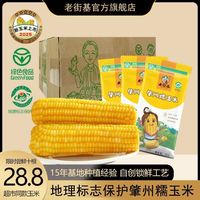 老街基 2025新肇州甜糯玉米黄粘苞米 真空速食 非转基因