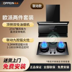 WZGL 自动清洗 烟灶套装