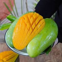 粤品 越南大青芒 新鲜水果 3斤 特大果