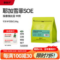 野鸽子 埃塞俄比亚花魁耶加雪菲咖啡豆 250g