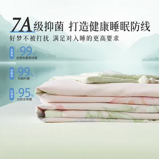 百丽丝 100%蚕丝夏被 可水洗 200cm×230cm