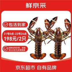 鲜京采 御鲜之王 鲜活大龙虾 单只450-550g 2只