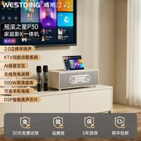威斯汀 P30家庭ktv音响套装家用K歌一体机客厅唱歌设备新款点歌机