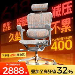 Ergonor 人体工学椅  办公椅、电脑椅、电竞椅 银白美国网