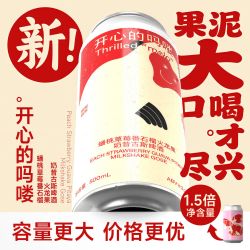 制乐厂 果泥啤酒 精酿