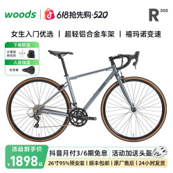 小森林 R300 公路车