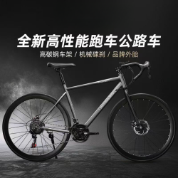 Mercedes-Benz 奔驰 公路自行车 变速双碟刹 竞速4S店定制