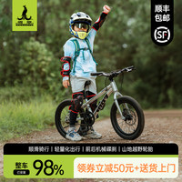 PHOENIX 儿童自行车3-4-6-8-10-12岁中大童学生车山地单车