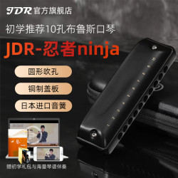 嘉德瑞 JDR 嘉德瑞 忍者NinJa 布鲁斯蓝调十孔口琴 10孔C调 初学者专业演奏款