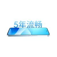 MEIZU/魅族 12GB+256GB AI手机 逐星灰 256GB 12GB