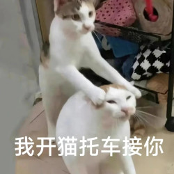 国补回归！电动车大额补贴上线，叠券最高减千元！