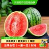 土八鲜 手撕薄皮冰淇淋西瓜