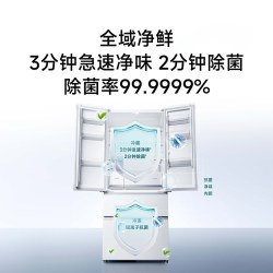 米家 BCD-508WFSMPDIN 法式双系统自动制冰超薄零嵌除菌净味冰箱