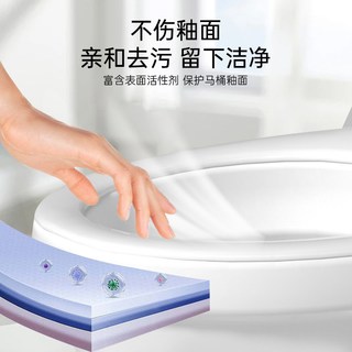 兰古仕 洁厕灵液 强力去污除臭 清香型