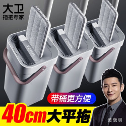大卫 干湿两用免洗平板拖把