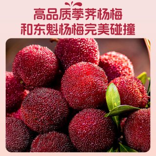 88VIP：养益君 NFC杨梅汁 果汁饮料