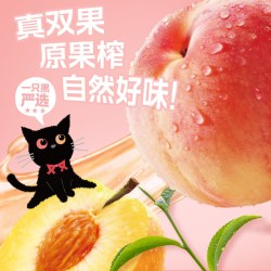 伊刻活泉 双桃乌龙茶 7500ml 500ml*15瓶