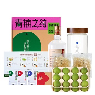 梅见 青梅酒 自酿套装礼盒